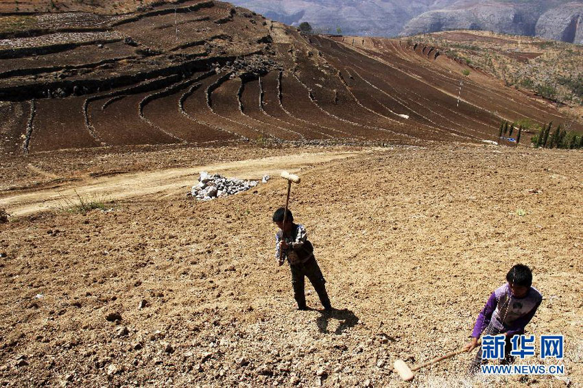 3月16日，在貴州省畢節(jié)市威寧縣斗古鄉(xiāng)中關(guān)村，兩個孩子幫助家人在干旱的土地上勞動。