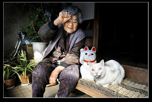 喵嗚 祖母與貓的溫情世界 喵嗚 祖母與貓的溫情世界