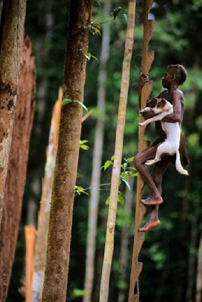 揭秘原始部落“樹屋人” 揭秘原始部落“樹屋人”