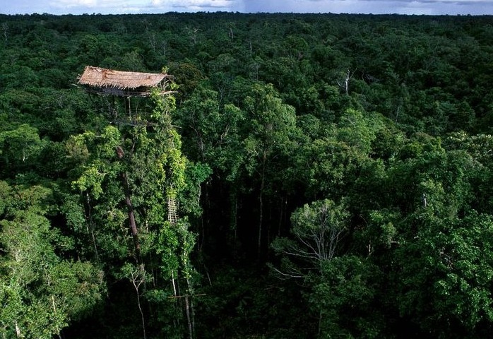 揭秘原始部落“樹屋人” 揭秘原始部落“樹屋人”