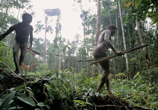 揭秘原始部落“樹屋人” 揭秘原始部落“樹屋人”