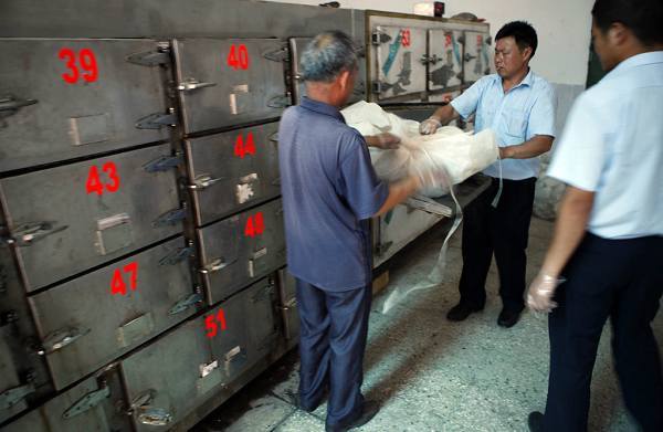 真實記錄一個吸毒者生命最后19天 真實記錄一個吸毒者生命最后19天