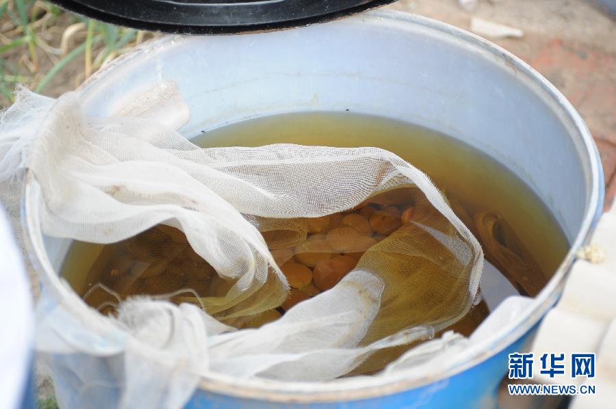 地下水成“綠茶”　污染二十多年該誰治？