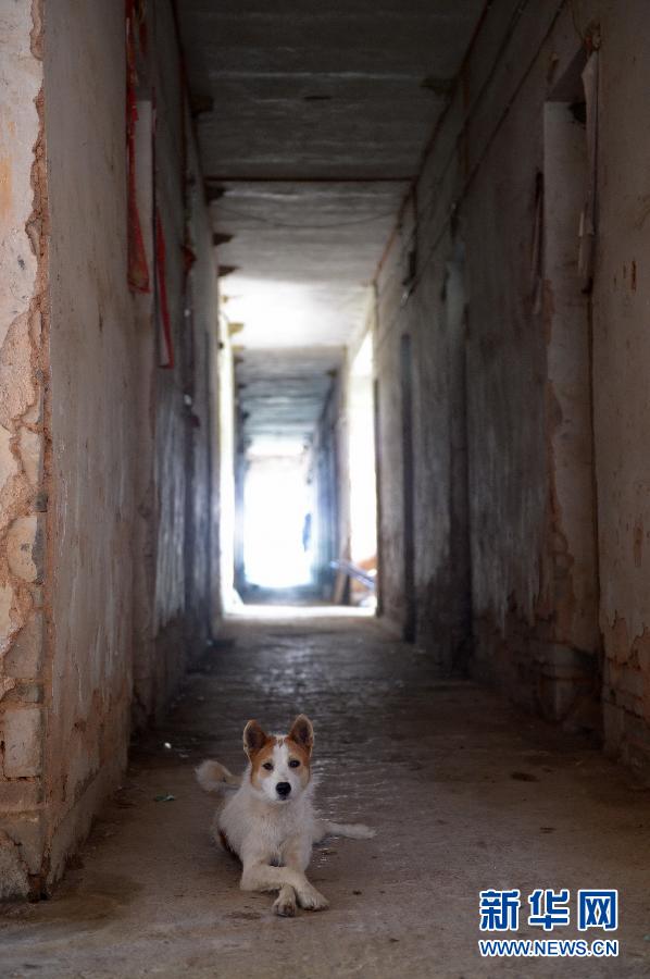 農(nóng)場(chǎng)棚戶(hù)區(qū)的最后留守家庭：留下的是回憶，迎來(lái)的是幸福