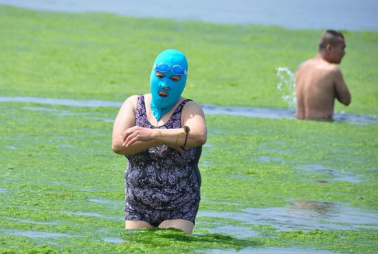 2013年7月3日，山東青島青島高溫來襲，“青島大媽”不懼滸苔，戴著“強(qiáng)盜面具”出現(xiàn)在海水浴場(chǎng)消暑降