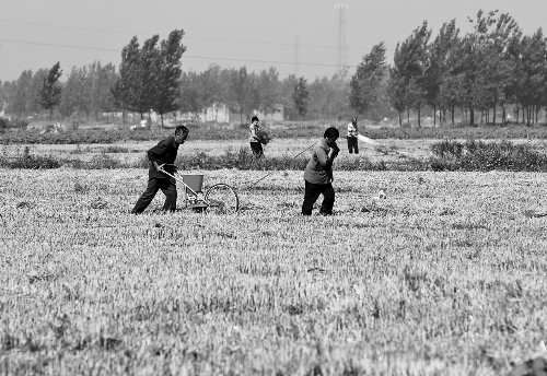 今后，農(nóng)民的土地承包經(jīng)營權(quán)將可以進行抵押融資。