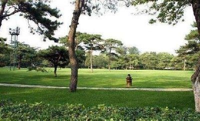 釣魚臺國賓館草坪 釣魚臺國賓館草坪