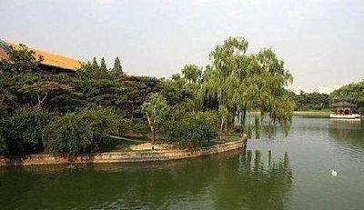 釣魚臺國賓館垂柳 釣魚臺國賓館垂柳