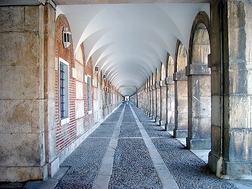 奔放的舞姿在這里孕育 奔放的舞姿在這里孕育