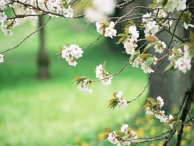 龍峪灣美景 龍峪灣美景