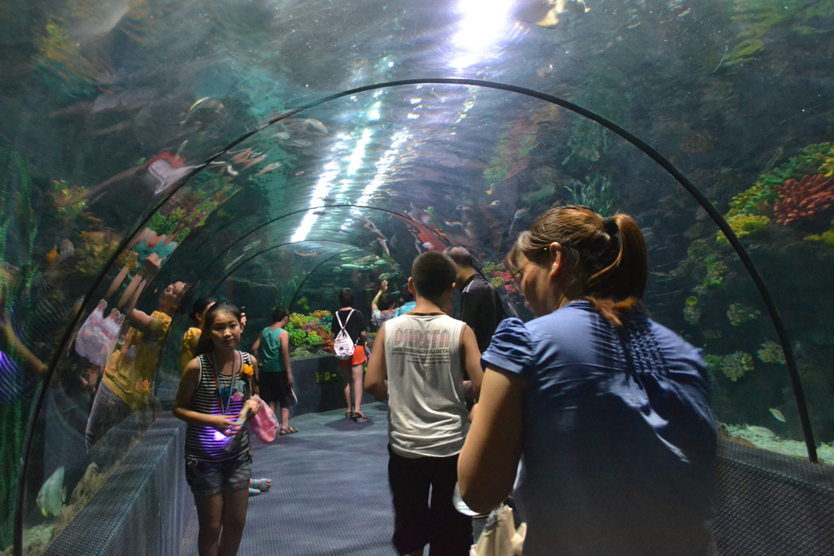 春節(jié)去哪兒？出游地圖告訴您！