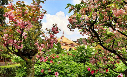 麻辣冬日二三五，芳菲三月看峨眉