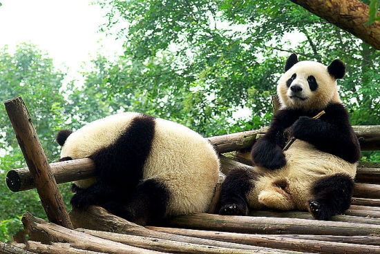 清明過后去哪玩 4月國(guó)內(nèi)抄底游推薦