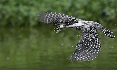 手把手教您玩轉(zhuǎn)信陽十大美景 手把手教您玩轉(zhuǎn)信陽十大美景