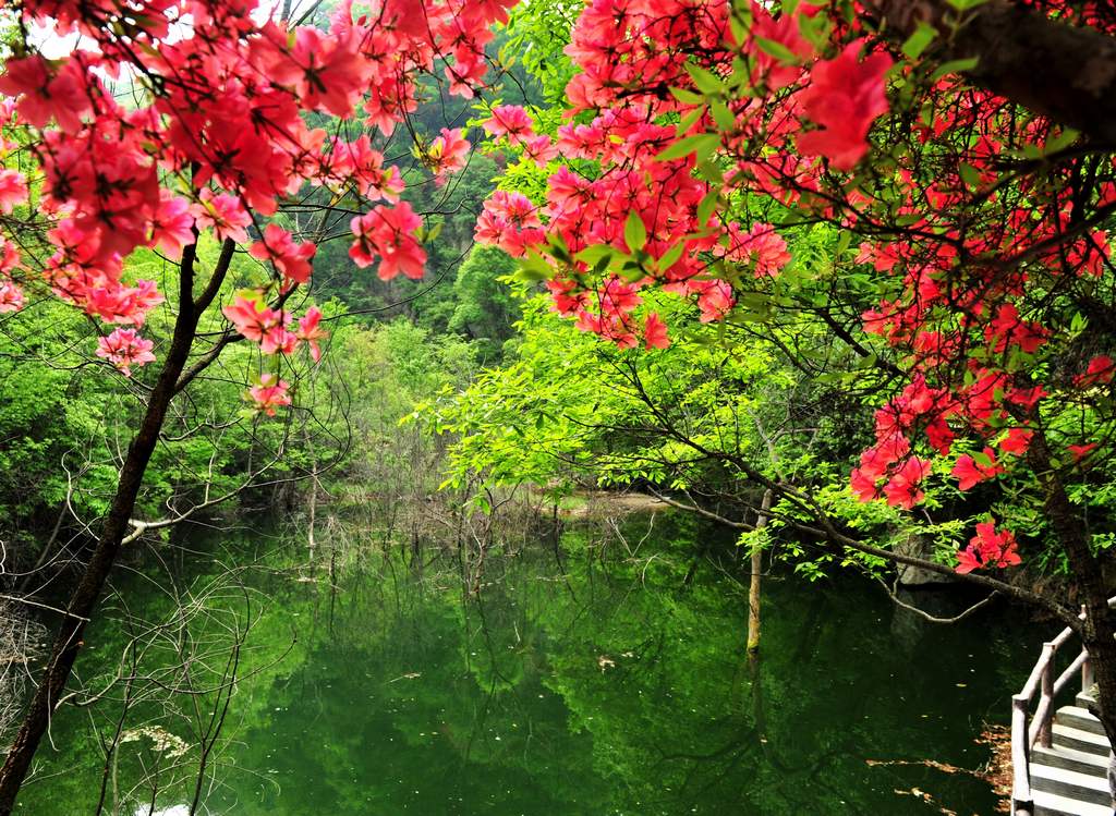 母親節(jié)河南景區(qū)優(yōu)惠大波來(lái)襲！