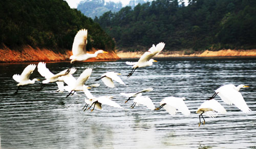考完去哪兒？千島湖中、高考生門票大優(yōu)惠！