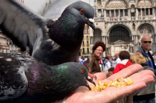別人地盤 異國旅游不進(jìn)警察局的妙招 別人地盤 異國旅游不進(jìn)警察局的妙招