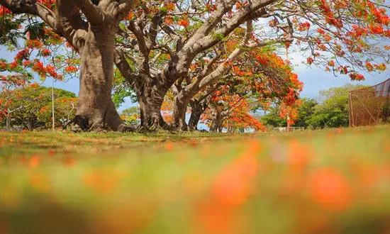 適合在冬天旅游的十個絕美海島！