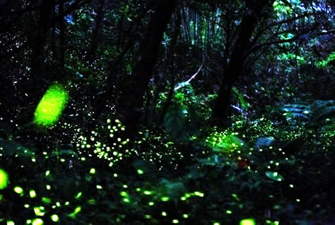 天臺(tái)山 天臺(tái)山