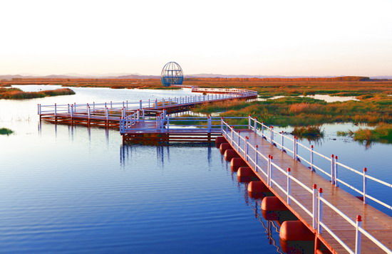 樂(lè)享綠色夏日 濕地公園生態(tài)親水之旅 樂(lè)享綠色夏日 濕地公園生態(tài)親水之旅