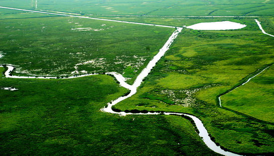 樂(lè)享綠色夏日 濕地公園生態(tài)親水之旅 樂(lè)享綠色夏日 濕地公園生態(tài)親水之旅