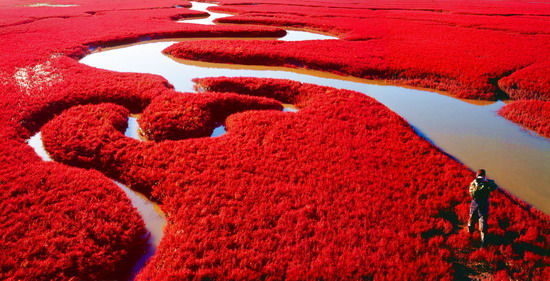 樂(lè)享綠色夏日 濕地公園生態(tài)親水之旅 樂(lè)享綠色夏日 濕地公園生態(tài)親水之旅