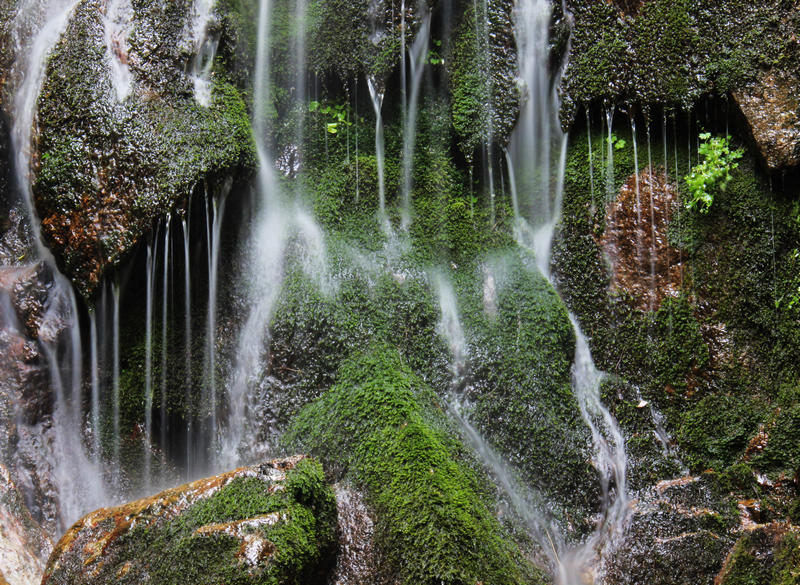 相約金秋暢游養(yǎng)子溝2013秋季野果子采摘的好地方 相約金秋暢游養(yǎng)子溝2013秋季野果子采摘的好地方