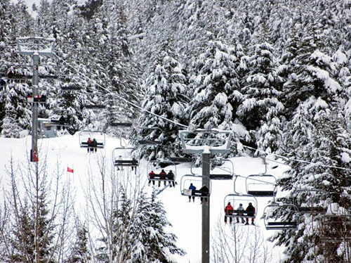 阿拉斯加，阿里耶斯卡