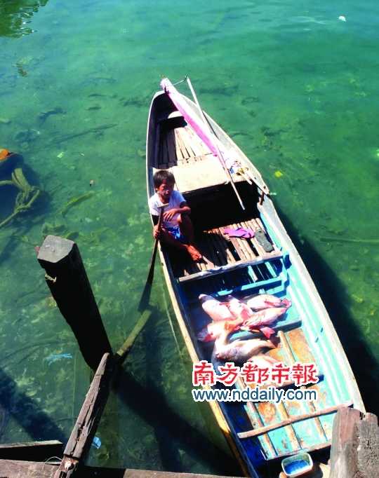 漁船上的孩子。