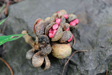 走著看風(fēng)景 徒步天堂海島留尼旺 走著看風(fēng)景 徒步天堂海島留尼旺