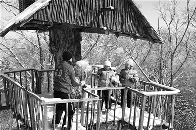 　　clubmed里有來自國外的滑雪教練教兒童滑雪?！? oldsrc=