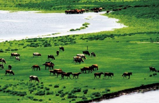 　　處處翠色欲流,馬兒自然入畫?！? complete=