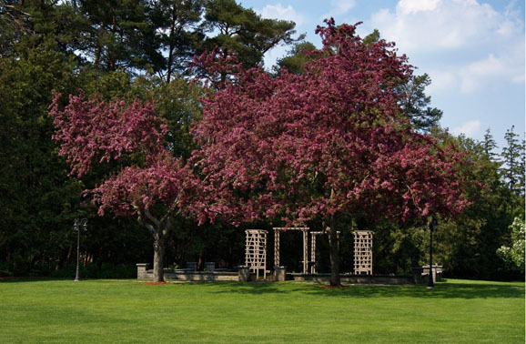 圣雅各布斯 圣雅各布斯