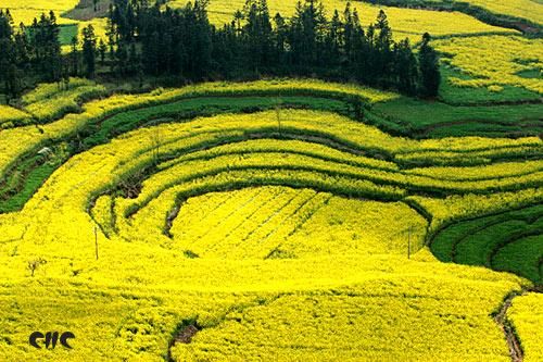 春光乍泄 到云南尋春必做的4件事 春光乍泄 到云南尋春必做的4件事