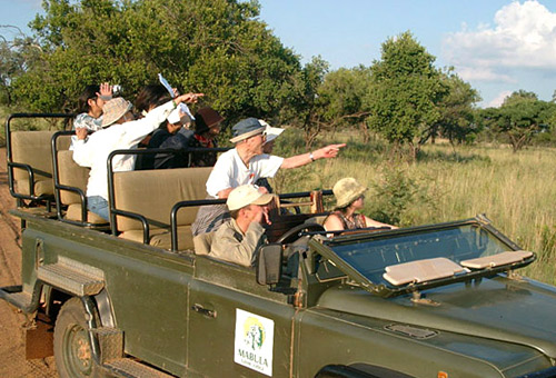 探索南非野性之美 太陽城帝王般享受 探索南非野性之美 太陽城帝王般享受