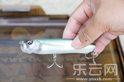 　　又稱擬餌釣魚,起源于歐洲,國內(nèi)翻譯為“路亞”。
