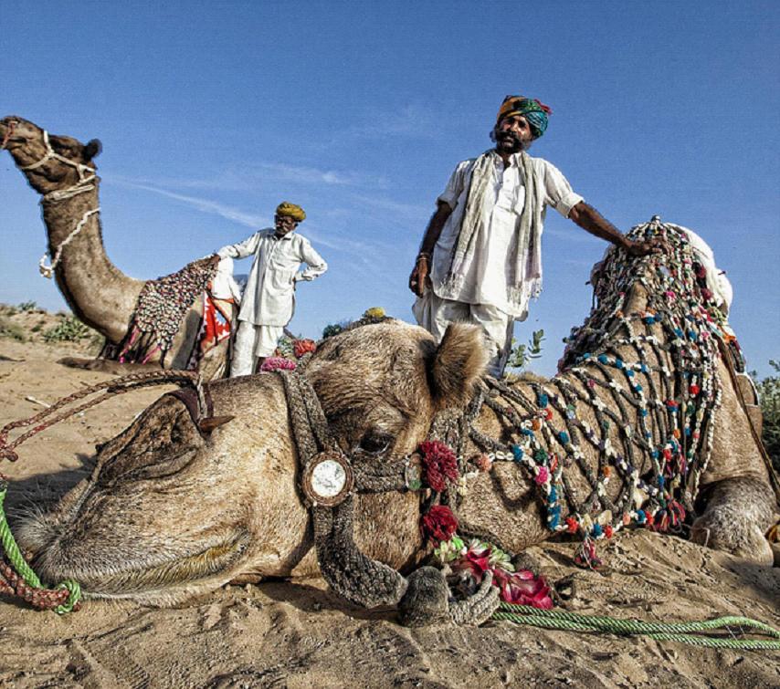 全家出國(guó)游去哪里？推薦十佳旅游勝地