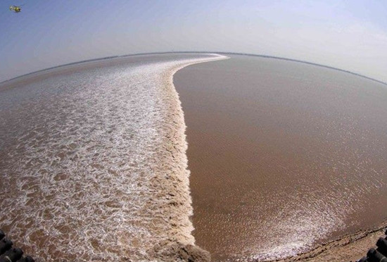 春汛大潮期 聽潮錢塘江 春汛大潮期 聽潮錢塘江