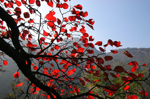 龍峪灣森林徒步中秋啟動(dòng) “混搭風(fēng)”引領(lǐng)金秋時(shí)尚 龍峪灣森林徒步中秋啟動(dòng) “混搭風(fēng)”引領(lǐng)金秋時(shí)尚