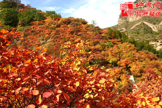 2013第七屆中國(guó)·邢臺(tái)九龍峽金秋紅葉節(jié) 2013第七屆中國(guó)·邢臺(tái)九龍峽金秋紅葉節(jié)