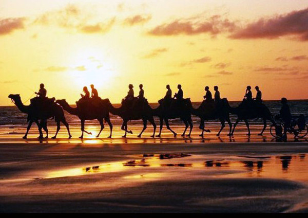 重走絲綢之路 20輛歐洲老爺車跨6國抵達(dá)古都洛陽 重走絲綢之路 20輛歐洲老爺車跨6國抵達(dá)古都洛陽