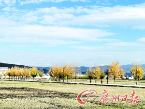 　　大理洱海湖畔美麗的鄉(xiāng)村景色。