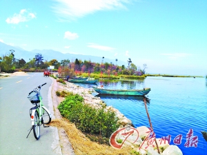 洱海的藍(lán)讓人沉醉。