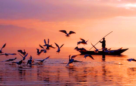 冬季正是觀鳥時 省內觀鳥地盤點 冬季正是觀鳥時 省內觀鳥地盤點