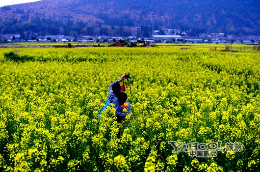 　　不論從人文氣息還是田園自然風(fēng)光,都值得我們停靠。(圖片來源:CFP)