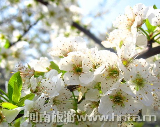 周末踏青 鄭州周邊 自駕旅游 周末踏青 鄭州周邊 自駕旅游