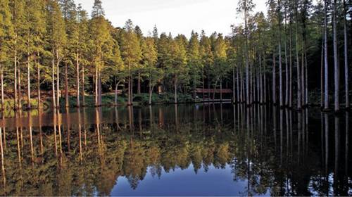 金秋時節(jié) 到信陽雞公山享受慢旅游生活 金秋時節(jié) 到信陽雞公山享受慢旅游生活