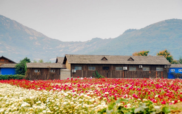 別樣蜜月，河南最適宜新婚度假的景區(qū)