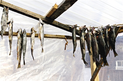 長白山腳下一家小餐館內(nèi)晾曬的冷水魚。