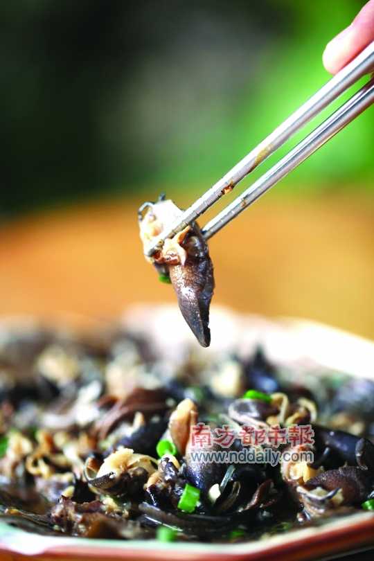 蒜蓉粉絲蒸蝸牛。